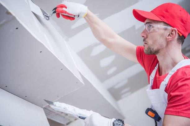 Best Ceiling Drywall Installation  in Neosho, MO